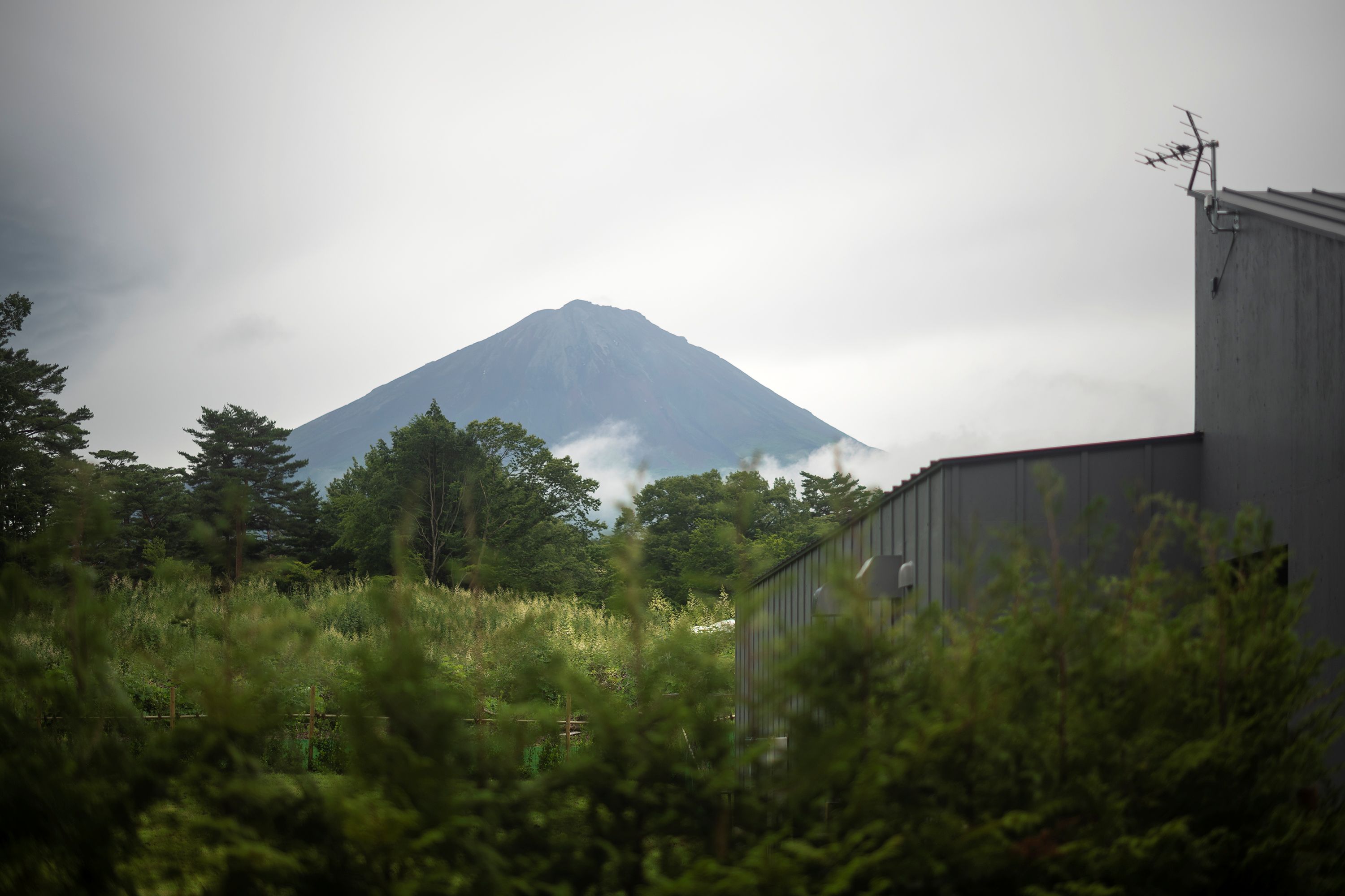 Mt. Fuji in the morning, seen from the property